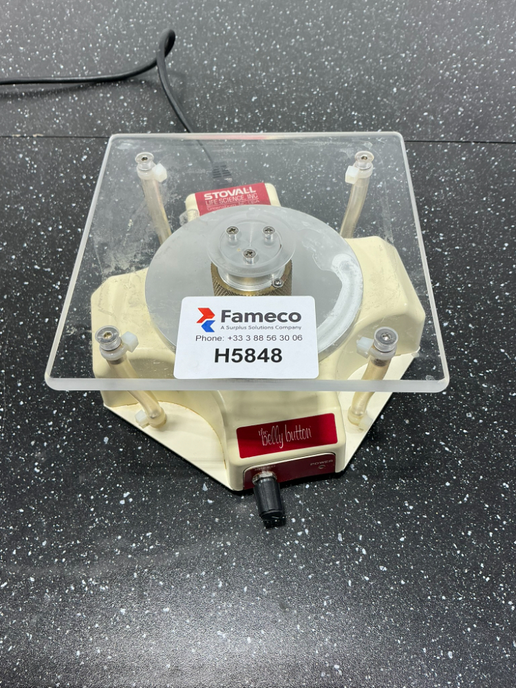 Image of STOVALL the belly button BBUAAUV1S